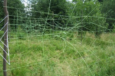 Space of Joy In Carpathian Mountains 2009