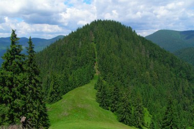 Space of Joy In Carpathian Mountains 2009